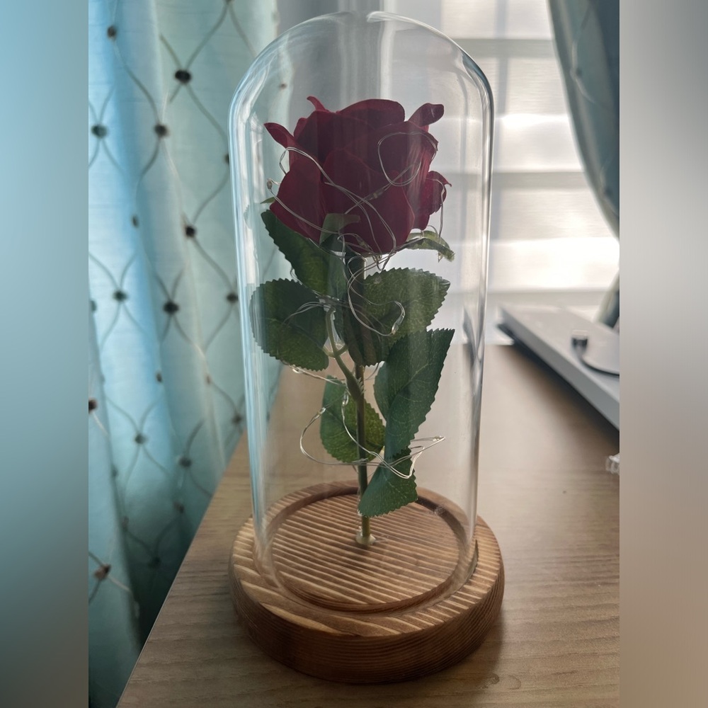 Enchanted Red Rose in Glass Dome-Lights Up 💡